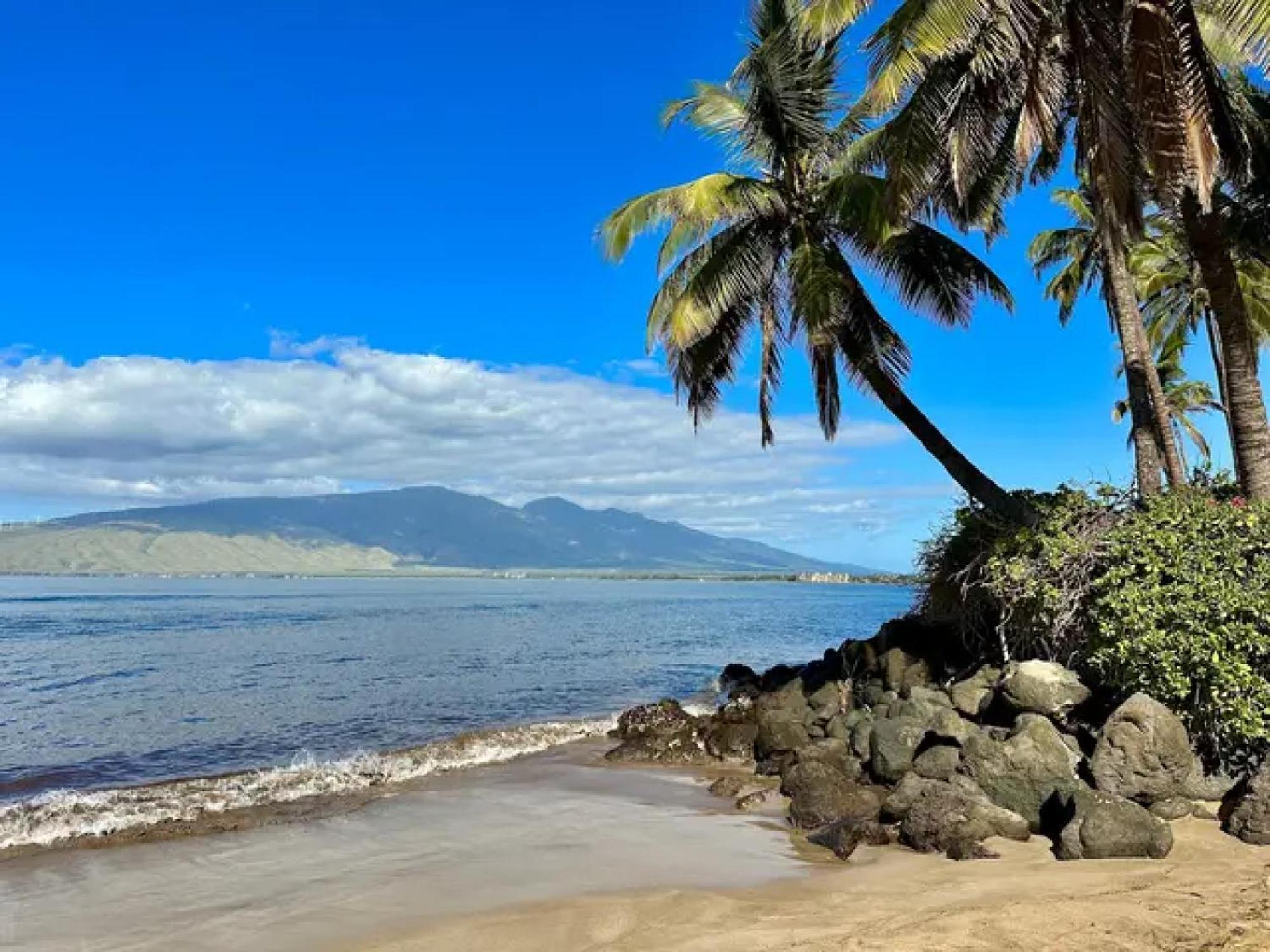 Cozy Maui Studio Retreat Just Steps To The Sand! Kihei Exterior foto